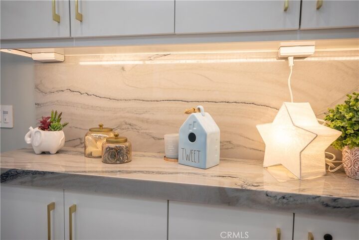 Property Photo:  33751 Copper Lantern Street  CA 92629 