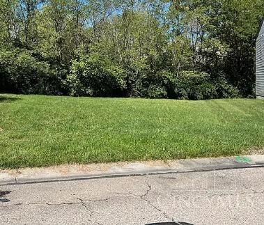 Property Photo:  2358 Woodbluff Court  OH 45231 