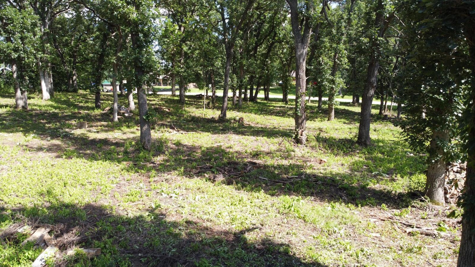 Property Photo:  Lot 5 Oak Point Road  MN 56531 