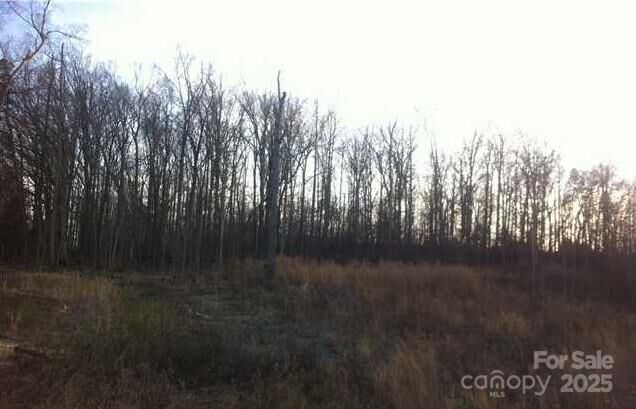 Property Photo: 10804 Maryanna Court NC 28213