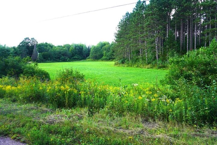 Property Photo:  17.47 Ac Schulz Spur Dr  WI 54452 