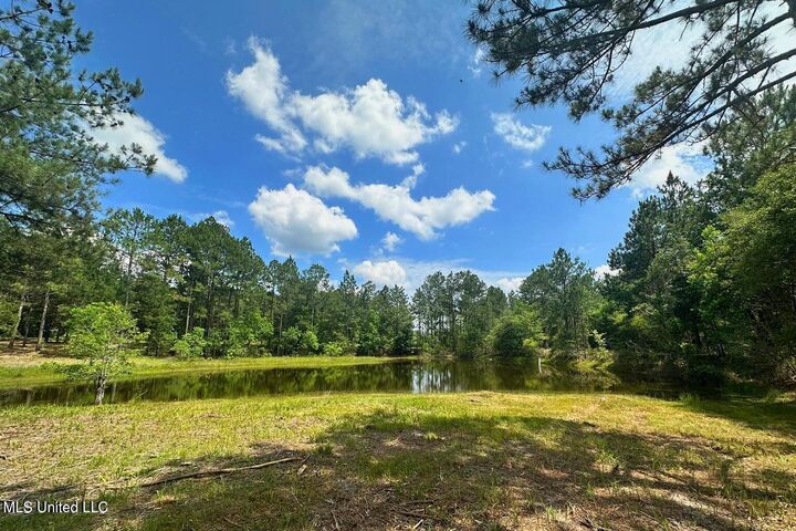 Property Photo: 23ac Hinton Road MS 39452