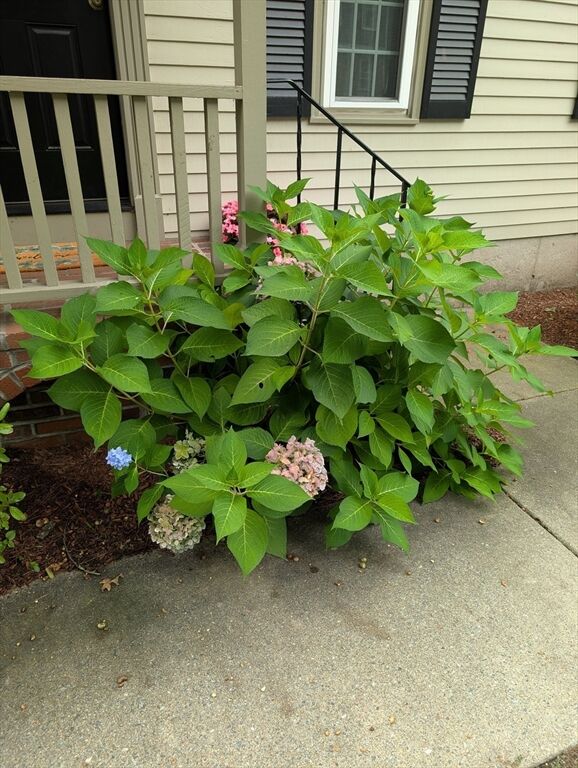 Property Photo:  525 Wellman Ave. 525  MA 01863