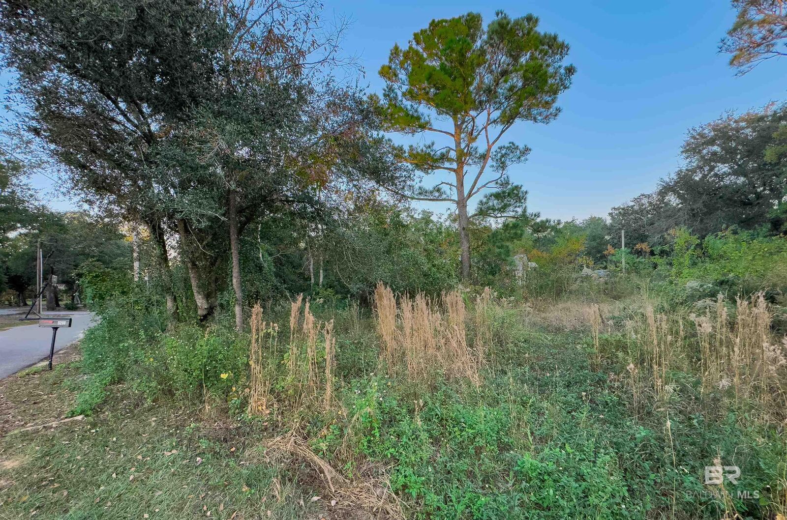 Property Photo:  5208 Hickory Lane  AL 36561 