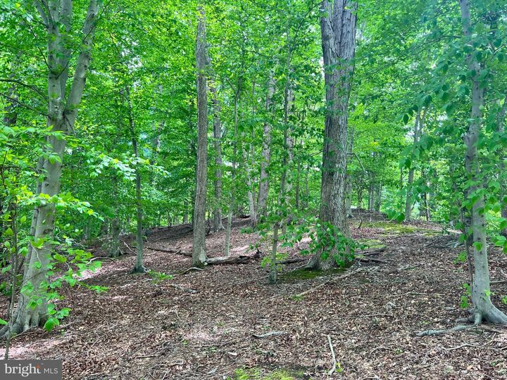 Property Photo: Old Colchester Rd VA 22079