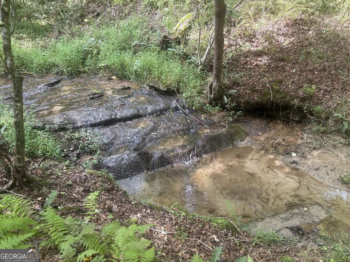 Property Photo:  141 Friendship Lane  GA 30559 