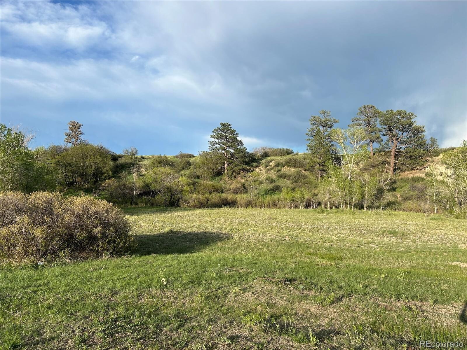 Property Photo:  Castlewood Canyon Rd  CO 80116 