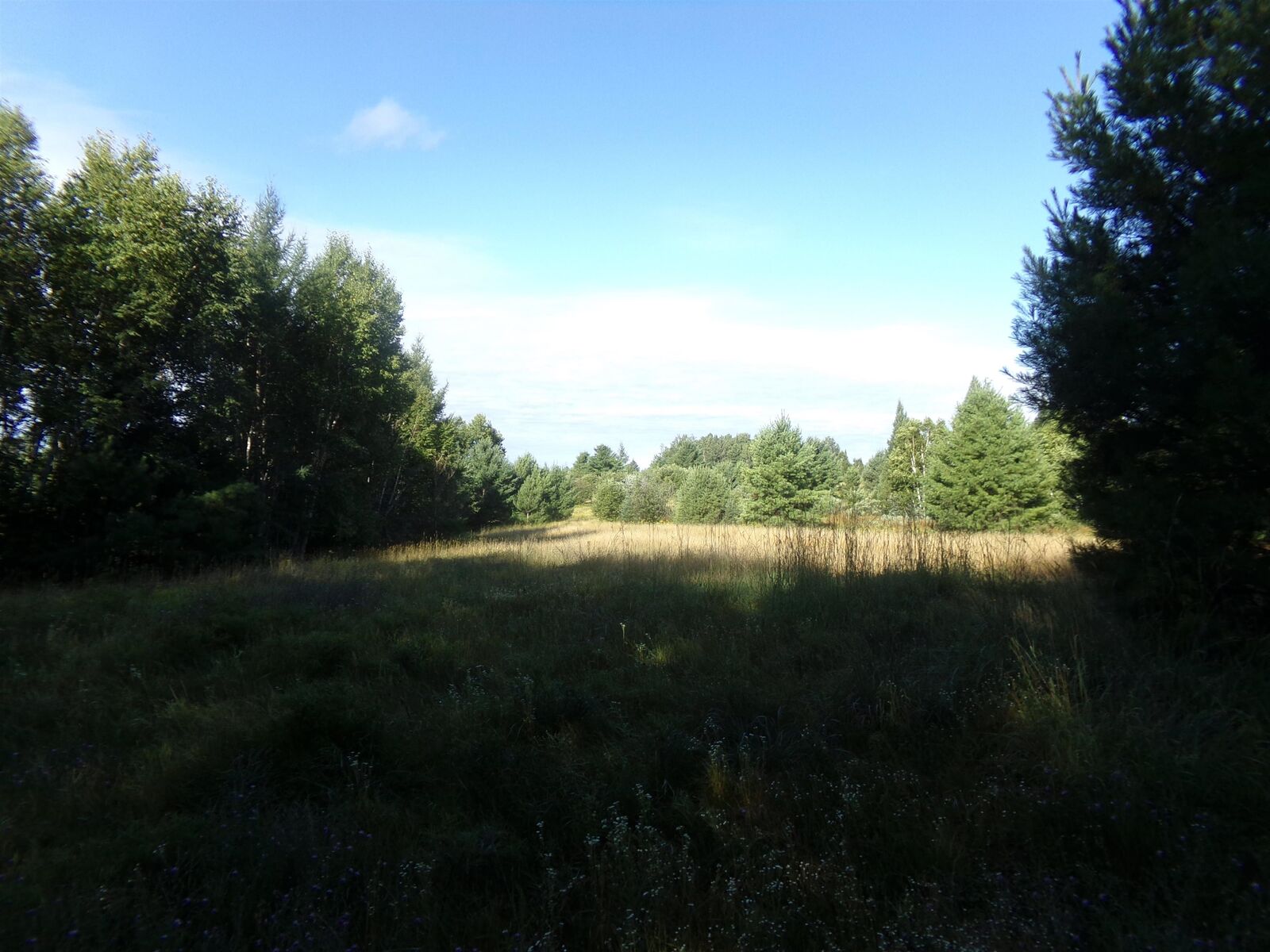 Property Photo:  7581 S Marsik Rd  WI 54849-9999 