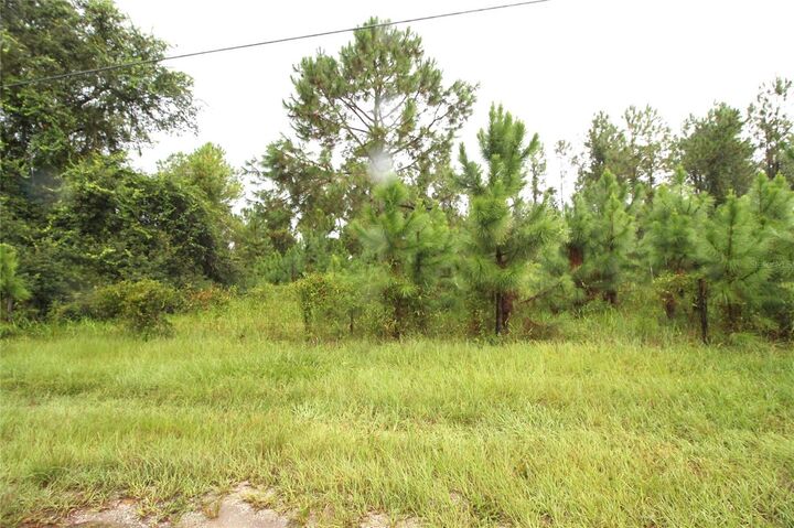 Property Photo: Youth Camp Road FL 34736