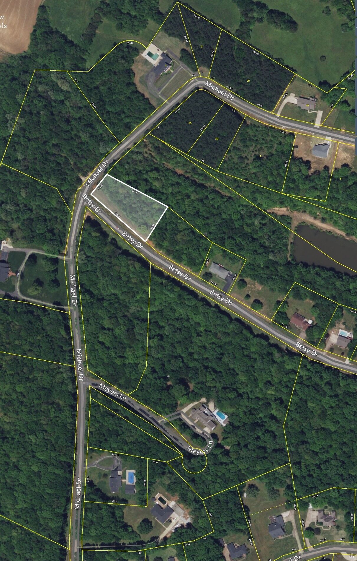 Property Photo: 0 Betsy Drive Lot 1 TN 38485