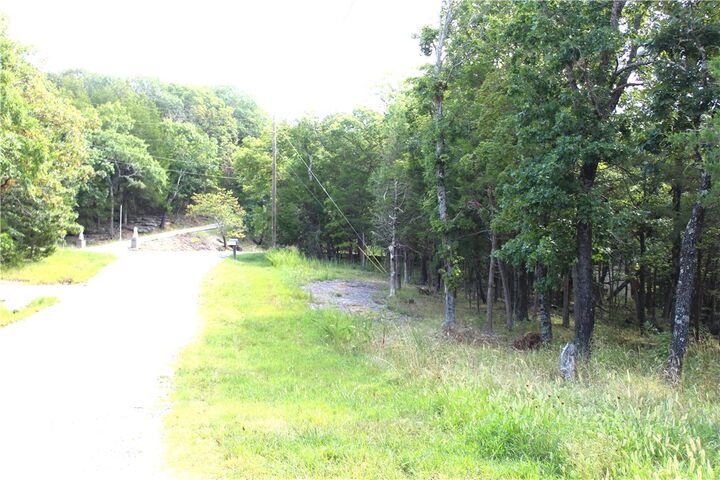 Property Photo: 10 Twin Peak Drive AR 72631