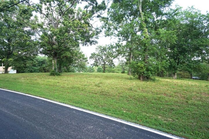 Property Photo: 000 Cordwood Ridge Drive MO 65747