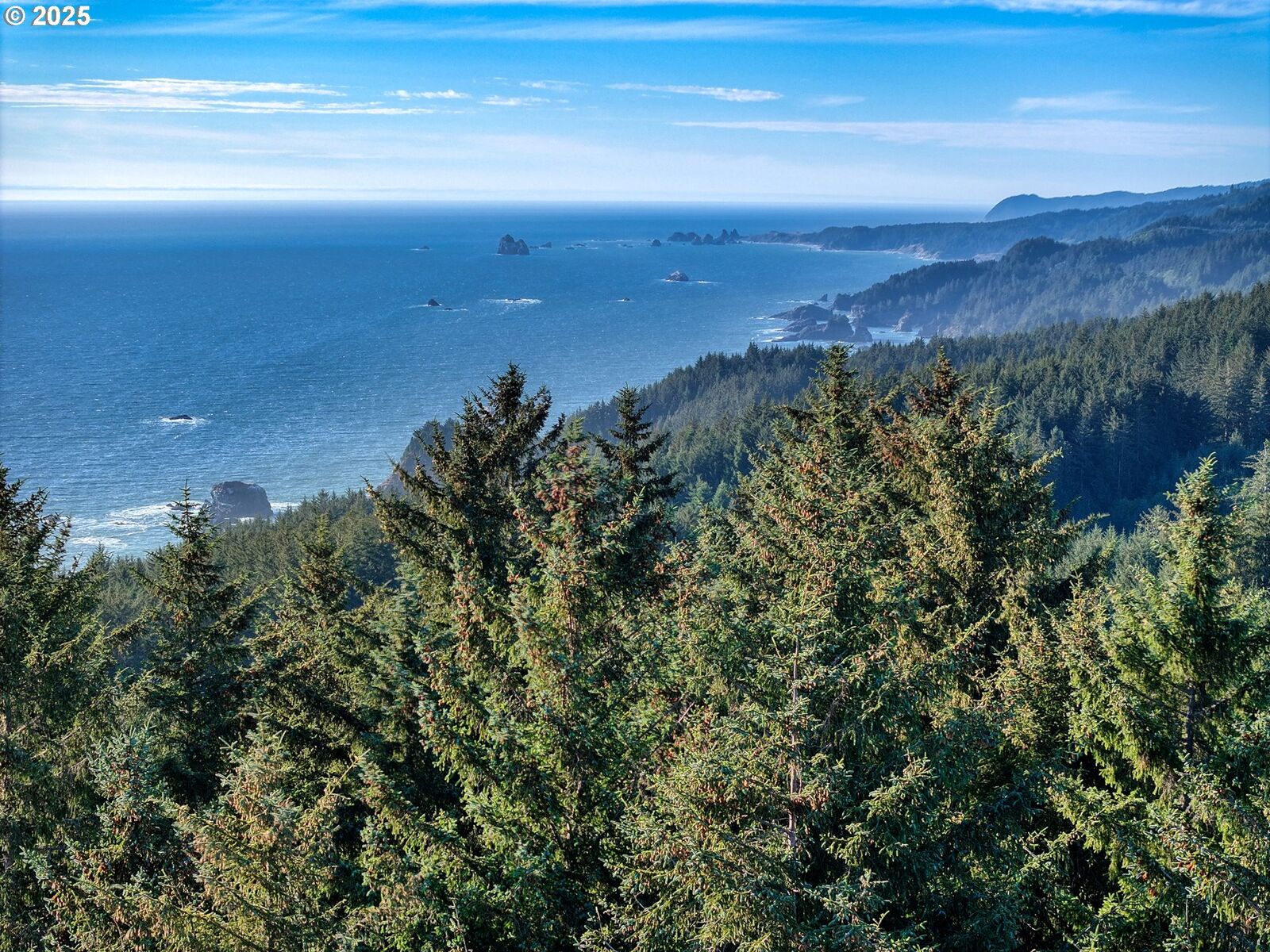 Property Photo:  0 W Huckleberry Ridge Rd 300  OR 97415 