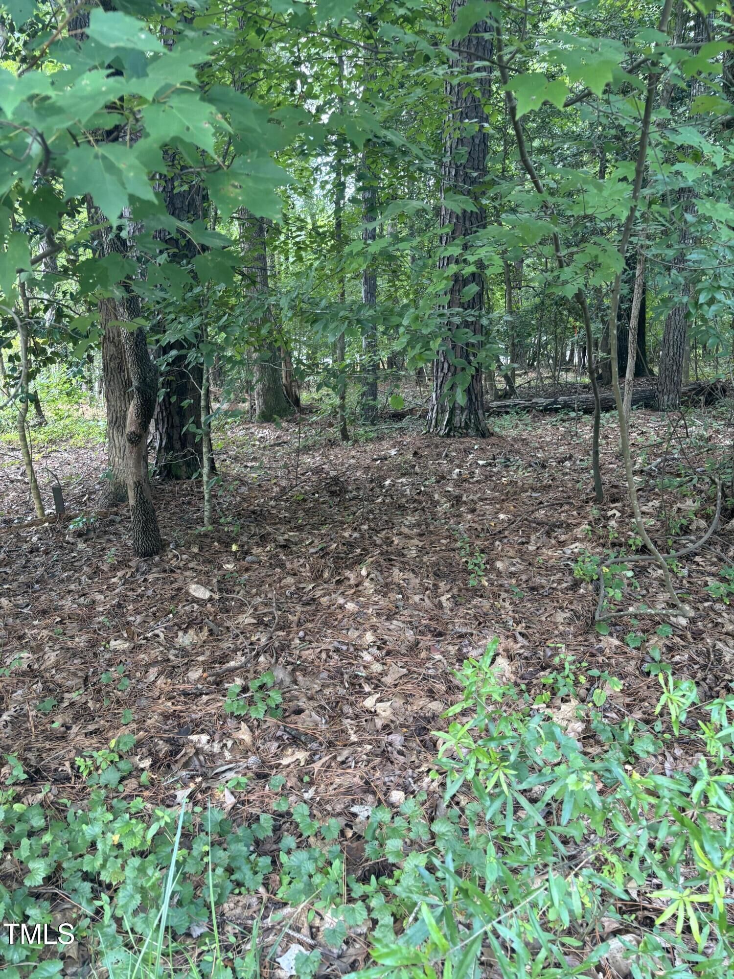 Property Photo: 116 Blackfoot Drive NC 27549