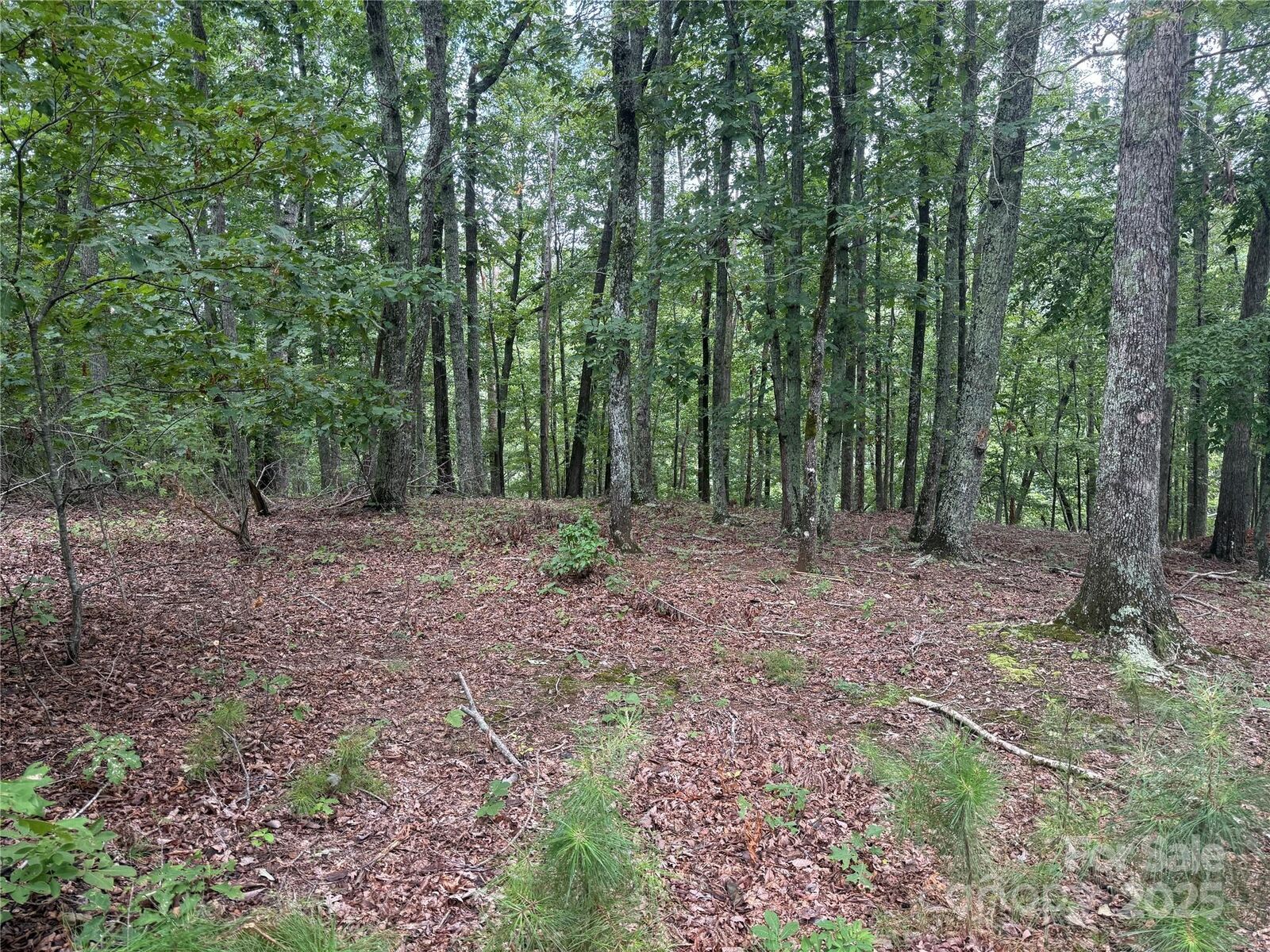 Property Photo: 1187 Grandview Peaks Drive 187 NC 28761