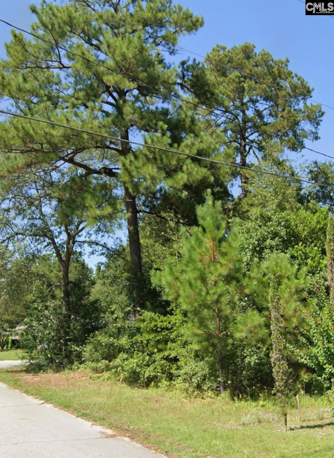 Property Photo: 221 Lloydwood Drive SC 29172