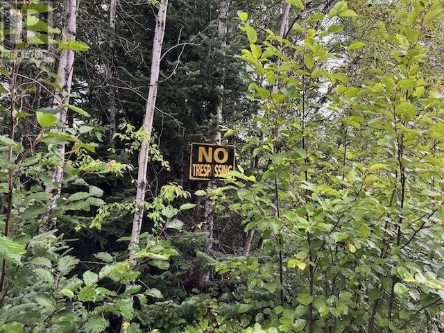 Property Photo:  Pin420900045&44 Hughes Creek Rd  ON P0V 2W0 