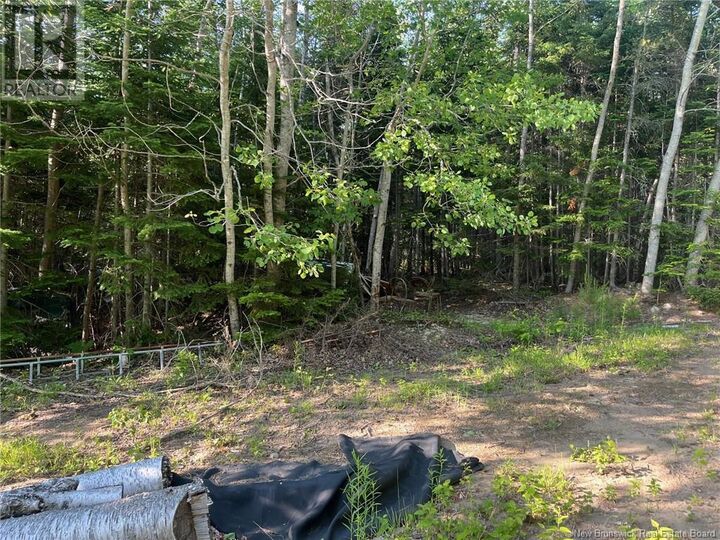 Property Photo:  70 Rue Jeanne D'Arc  NB E1X 2N4 