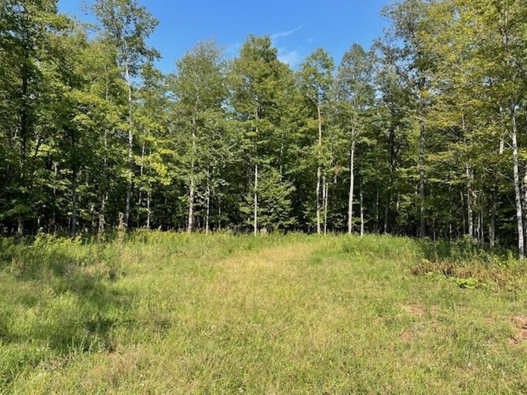 Property Photo: 36.72 Acres County Road J WI 54403