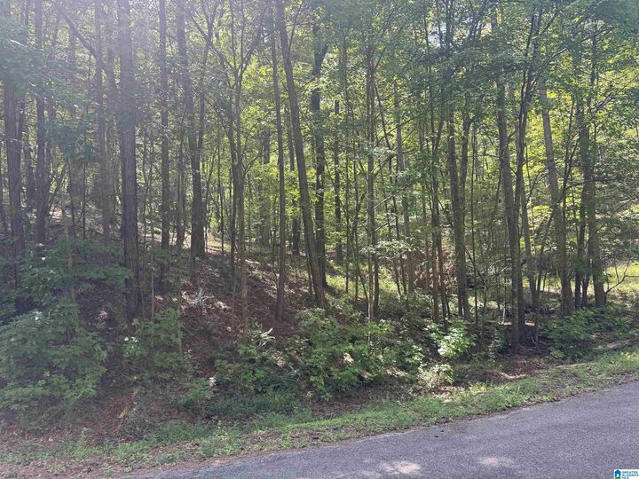 Property Photo: 85 Mohawk Court 22 AL 36271