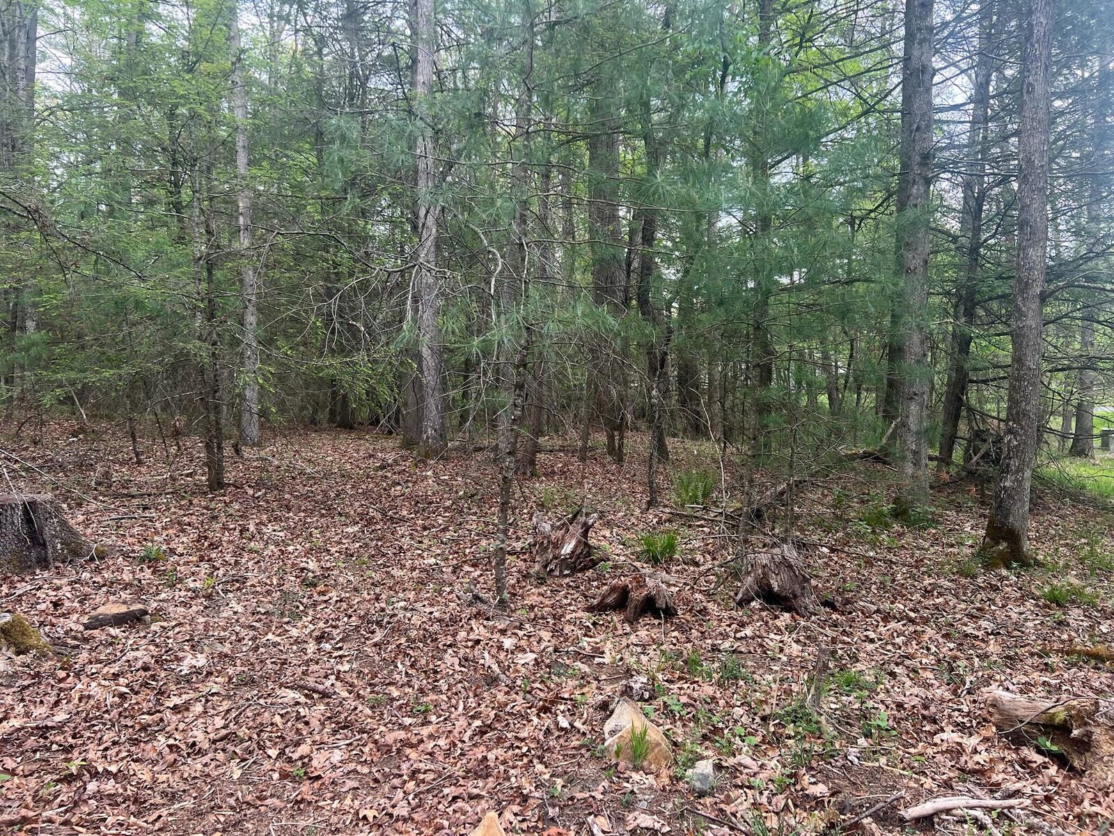 Property Photo:  Lot 19  Sunset Ridge  WV 24901 
