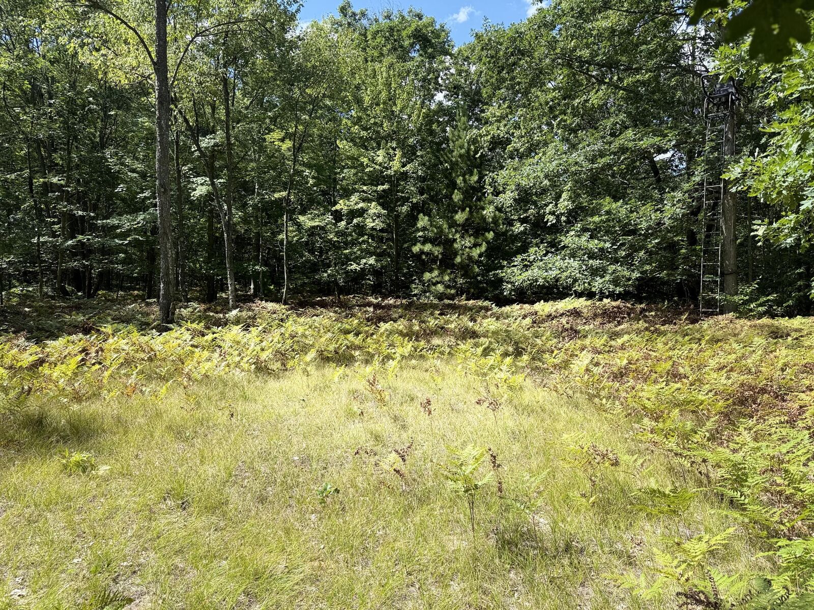 Property Photo: 0 5 Mile Road MI 49421