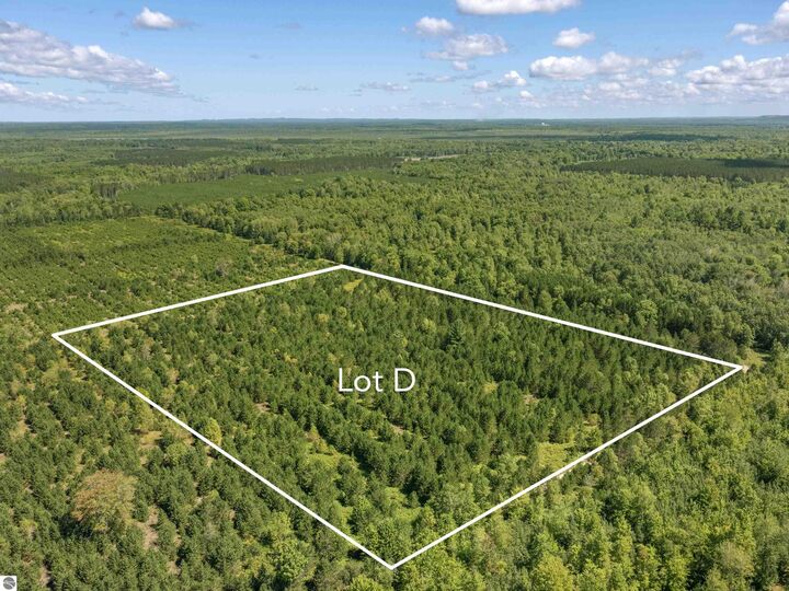 Property Photo: 15 Acres Wallin Road MI 49683