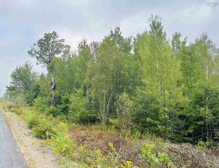 Property Photo:  Lot Alpena Road  NS B0S 1M0 