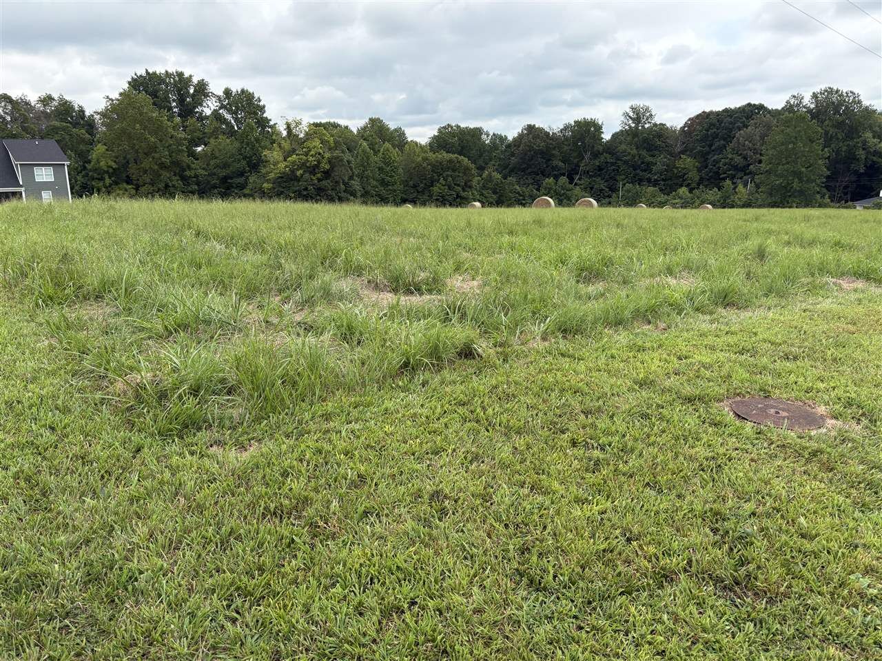 Property Photo: Lot 1A Riverview Circle KY 42164