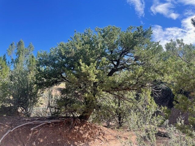 Property Photo: 2 Eccola Lane NM 87506