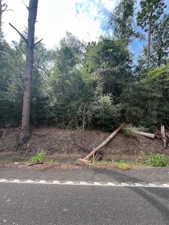 Property Photo:  0 Mark Lebleu Road  LA 70647 