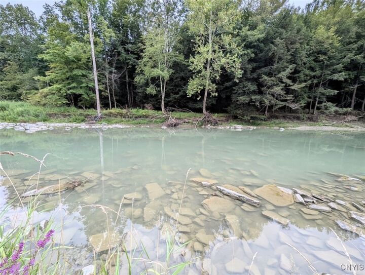 Property Photo:  State Route 417  NY 14898 