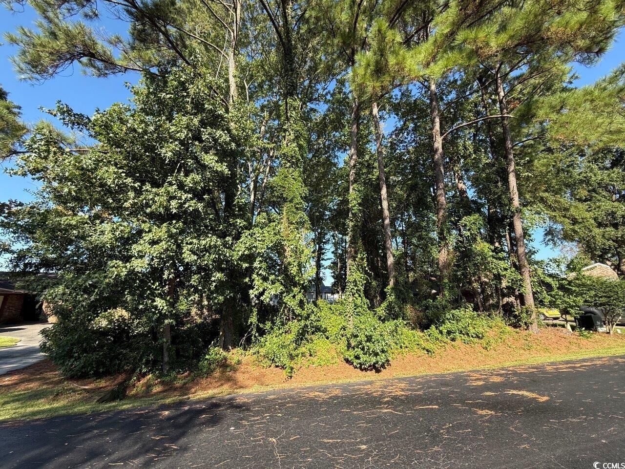 Property Photo:  Lot 547 Circle Dr.  SC 29575 