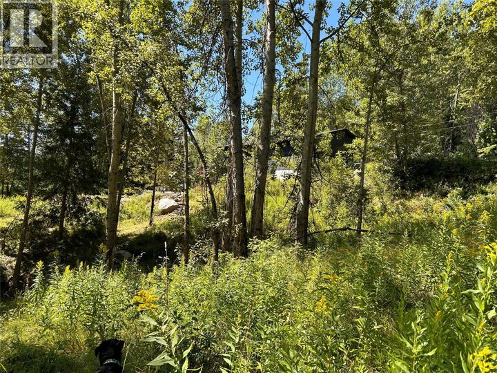 Parcel A Phoenix Avenue  Rossland BC V0G 1Y0 photo