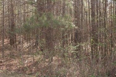 Property Photo: 8747 Camron Drive GA 30187