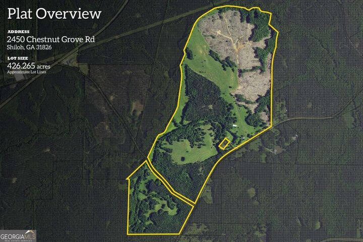 2450 Chestnut Grove Road  Shiloh GA 31826 photo
