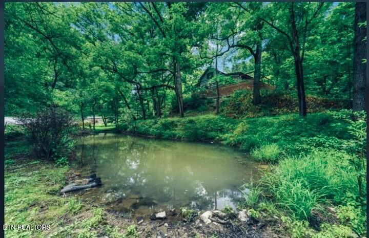 Property Photo: 3909 Henry Town Rd TN 37876
