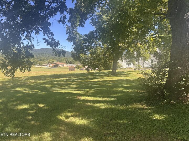 Property Photo: 196 Dover Ave TN 37752