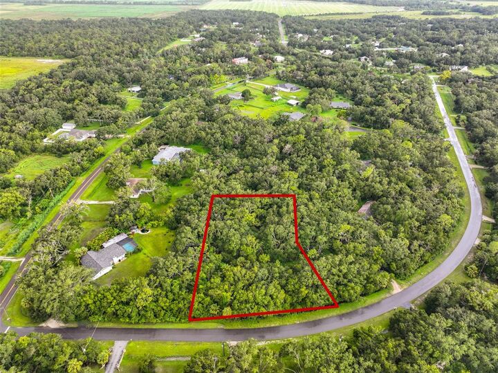 Property Photo: 0 Lone Palm FL 33598