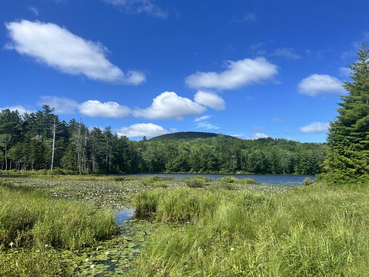 Property Photo:  00 Pine Hill Lane  ME 04614