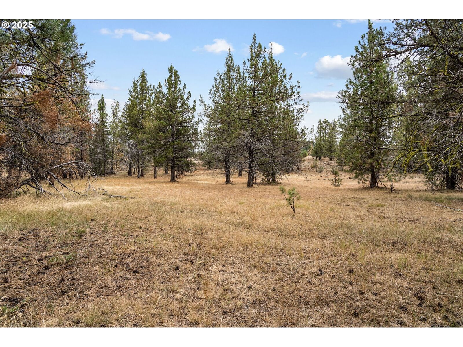 Property Photo: Wolf Creek Rd 42 OR 97751