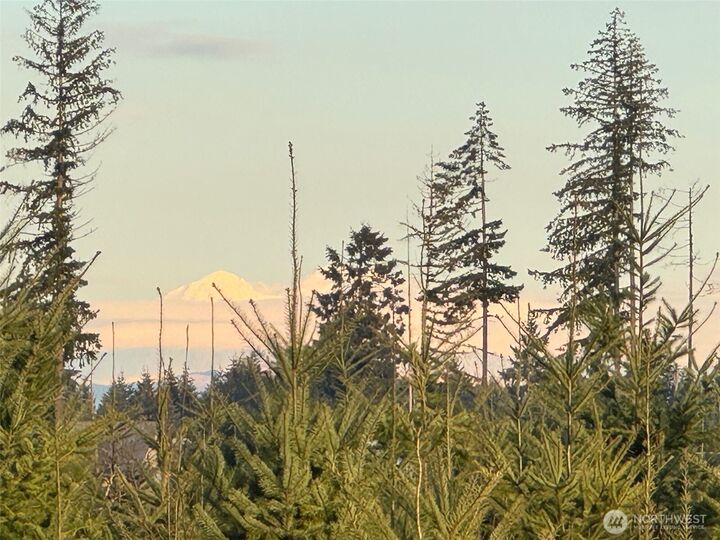 380  Hawkins Road  Winlock WA 98596 photo