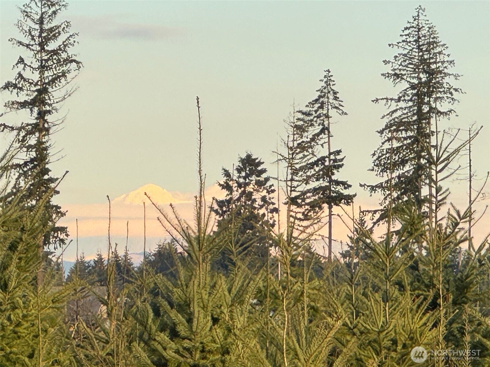 Property Photo: 380 Hawkins Road WA 98596