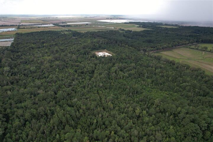 Property Photo:  Tbd Leonard Road  LA 70532 