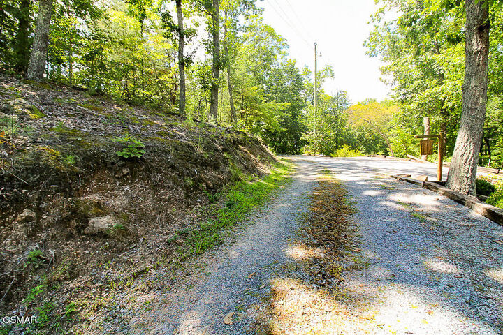 Property Photo: Lot 64 Twin City Way TN 37863