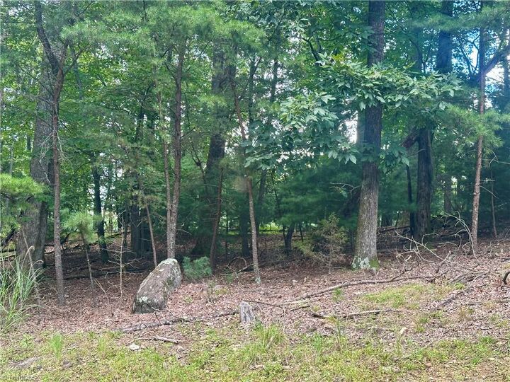 Property Photo: 132 View Point Drive NC 28685