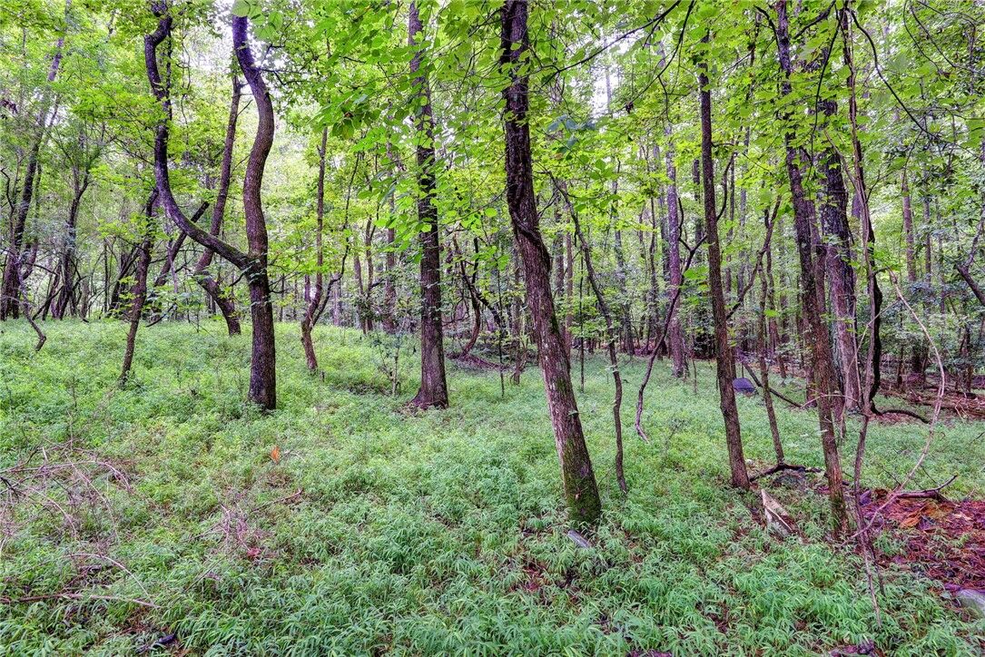 Property Photo: 200 Jolly Pond Road VA 23188-7321