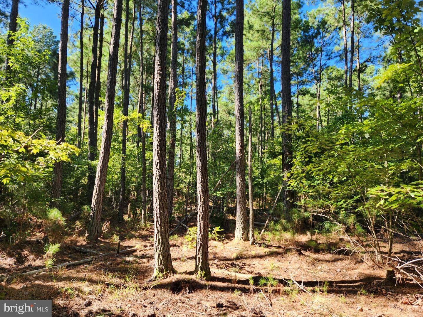 Property Photo: Fresh Pond Neck Rd MD 20680