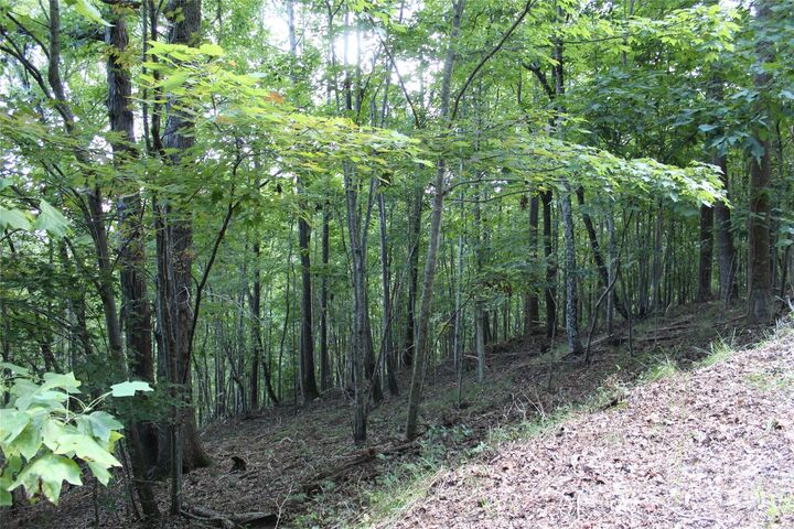Property Photo:  0 Azule Ridge Drive  NC 28018 