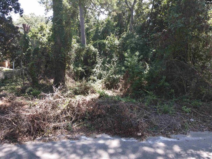 Property Photo: S S Castleton SC 29223